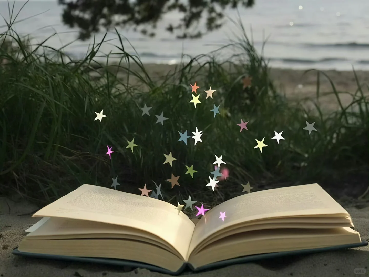 iPad/电脑壁纸～