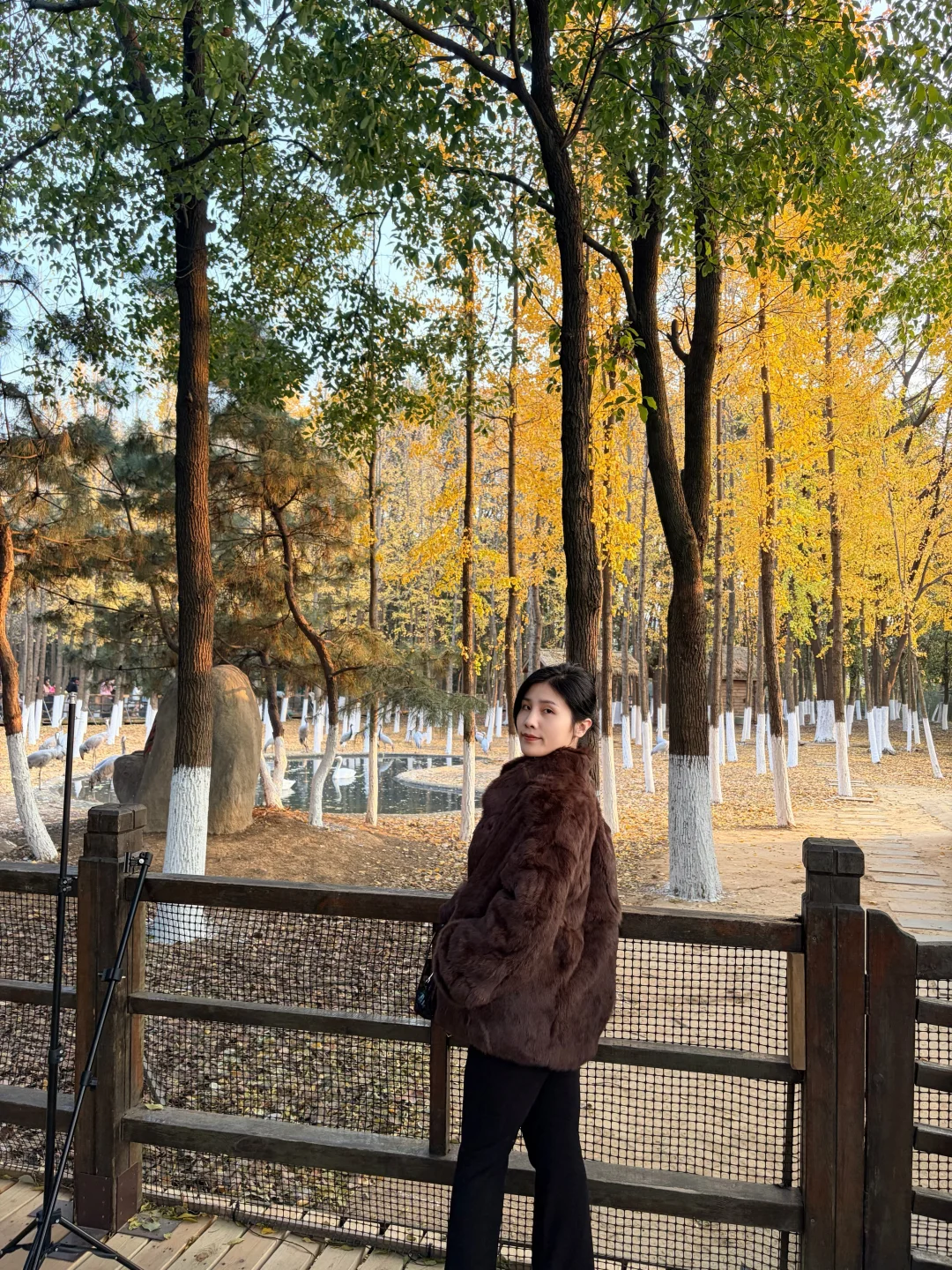 好喜欢我的下颚骨