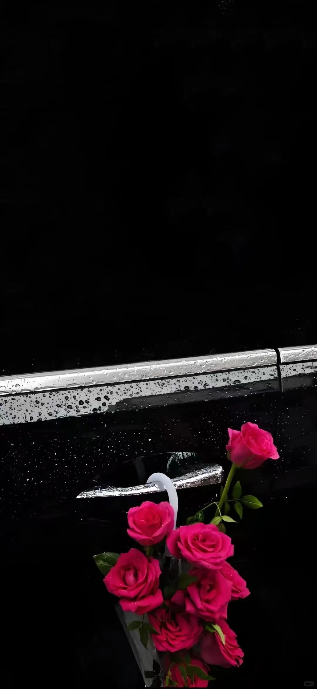 氛围感壁纸、花花壁纸