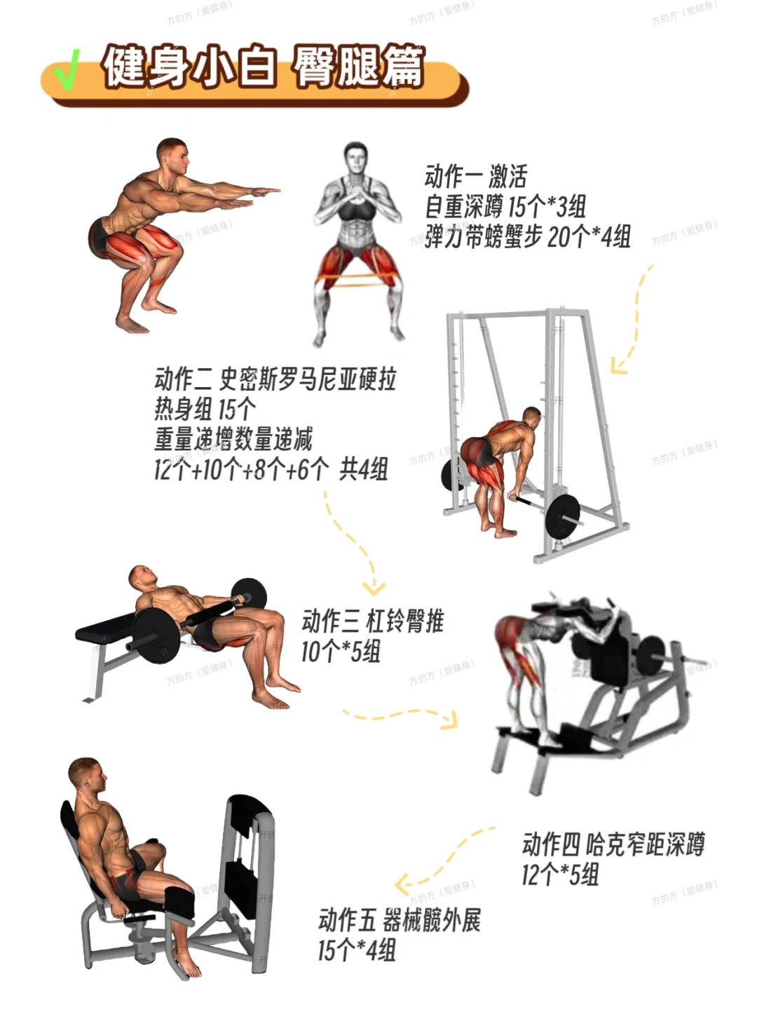 健身小白（女生）健身房攻略4⃣️臀部训练动作