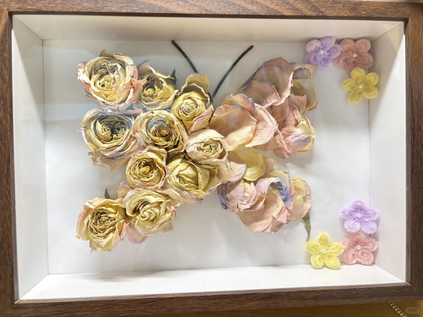 女宝是这个世界上最美好的生物！