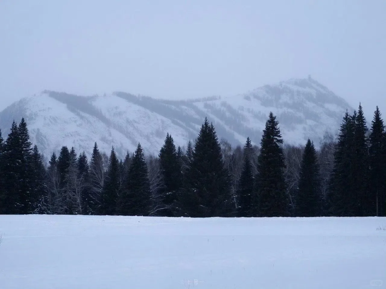 iPad/电脑横屏壁纸❄️