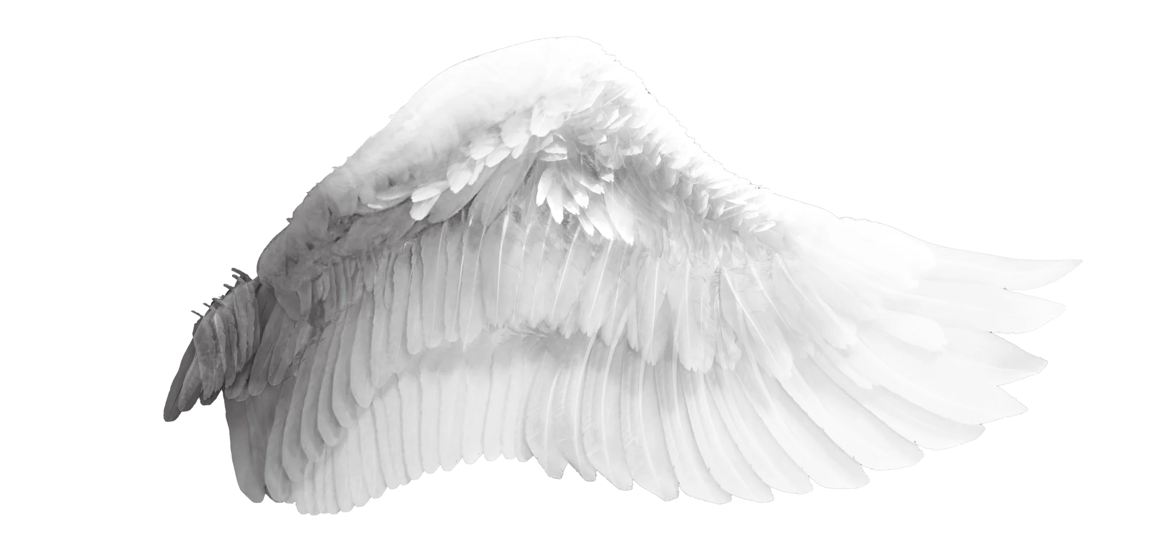 特效素材｜白色翅膀羽毛天使png后期贴图