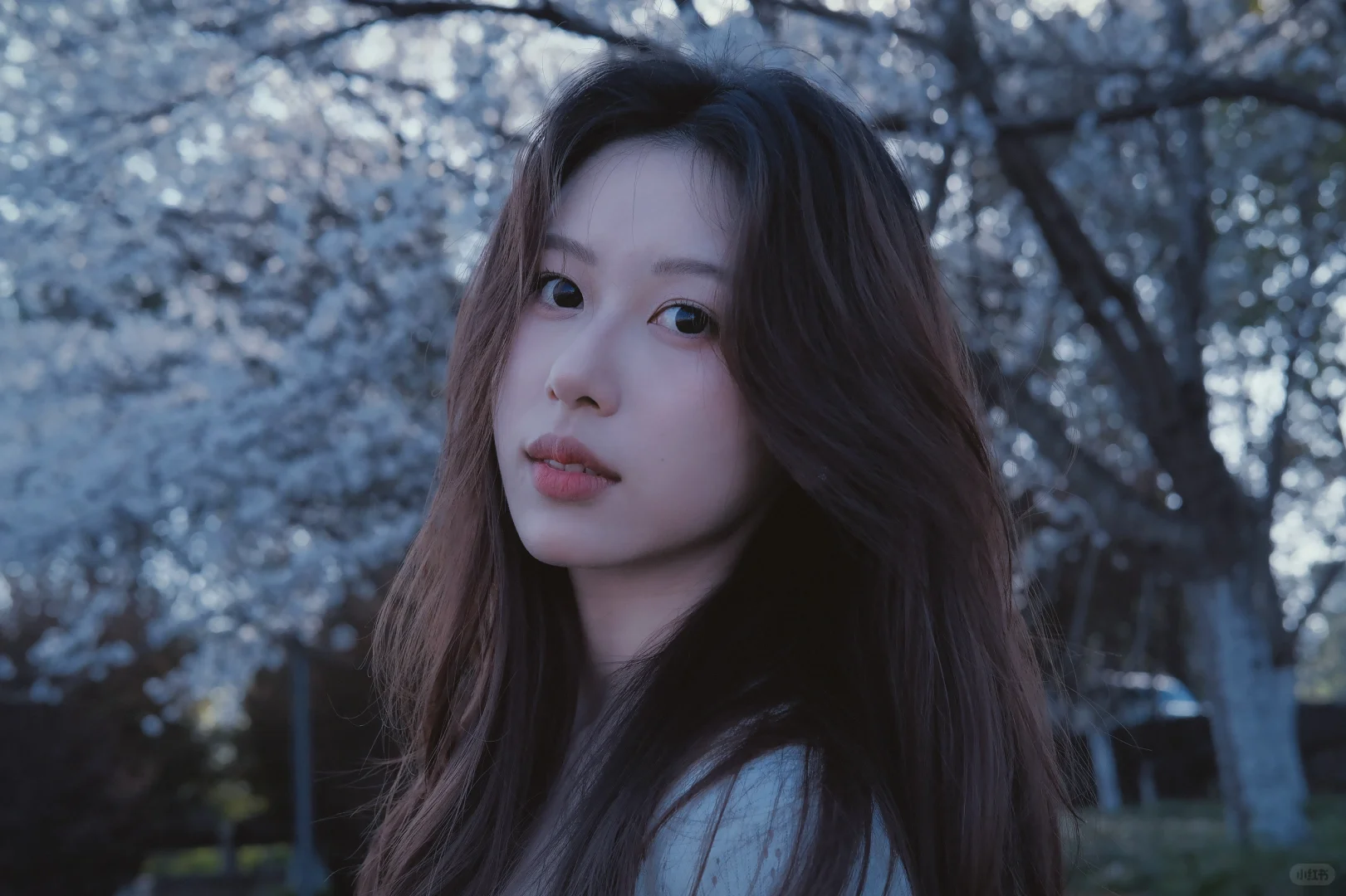 不必因为自己长得不够网感而自卑🦋