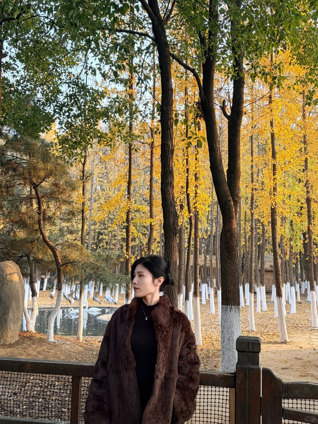 好喜欢我的下颚骨