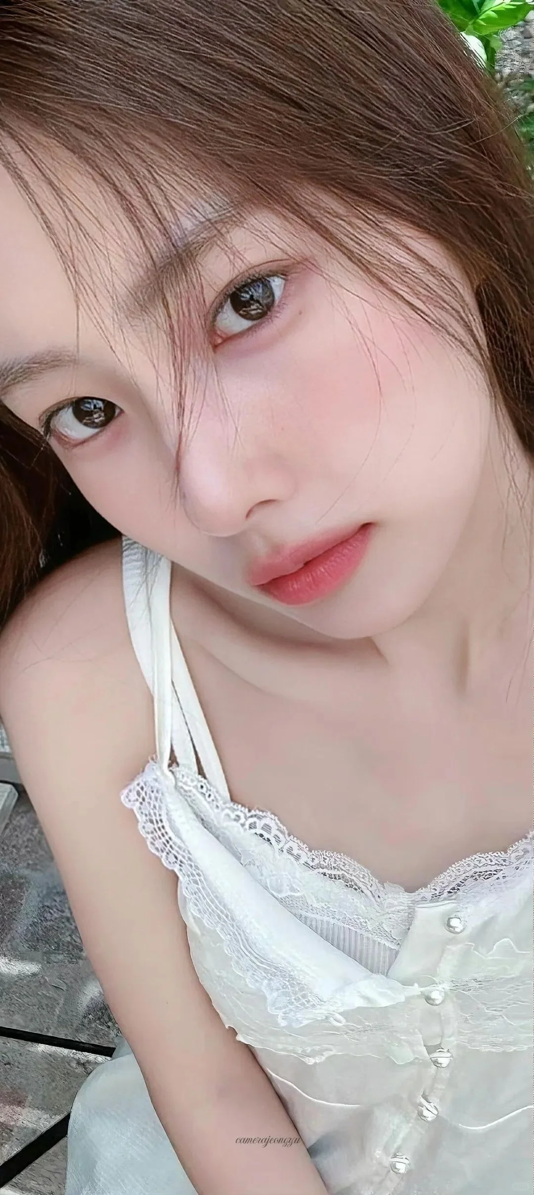 WeChat｜姜惠元壁纸大放送！🎉