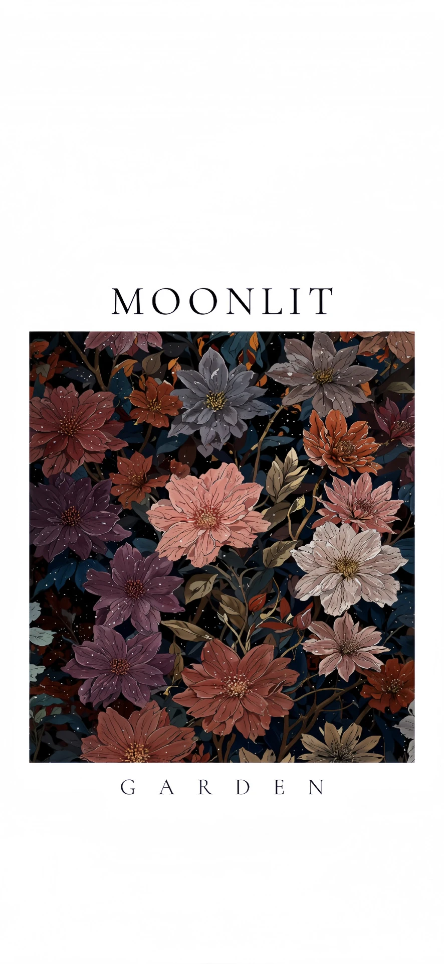 手机壁纸|高清壁纸 🍮