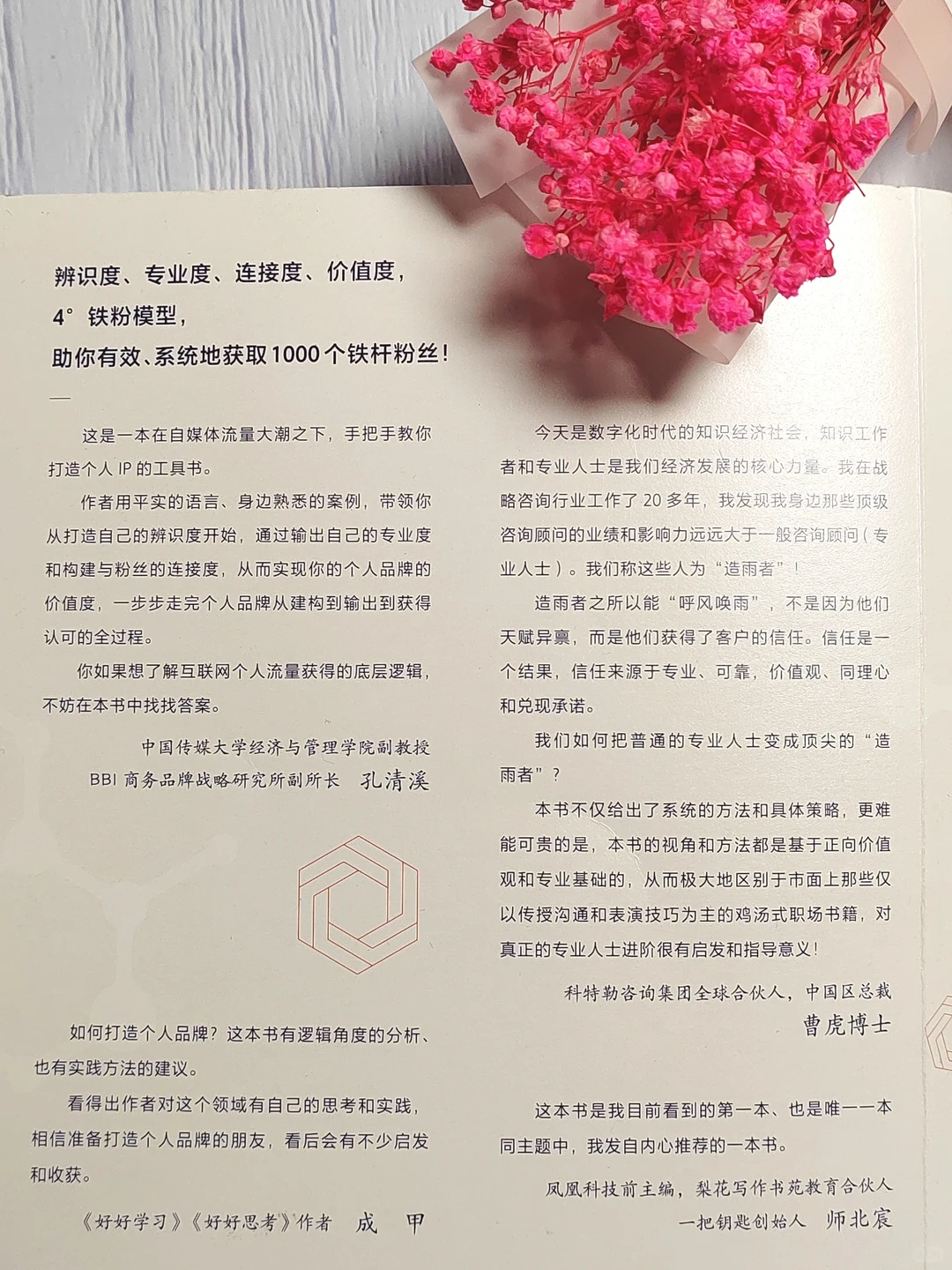 小红薯｜快读伍越歌的《1000个铁粉》