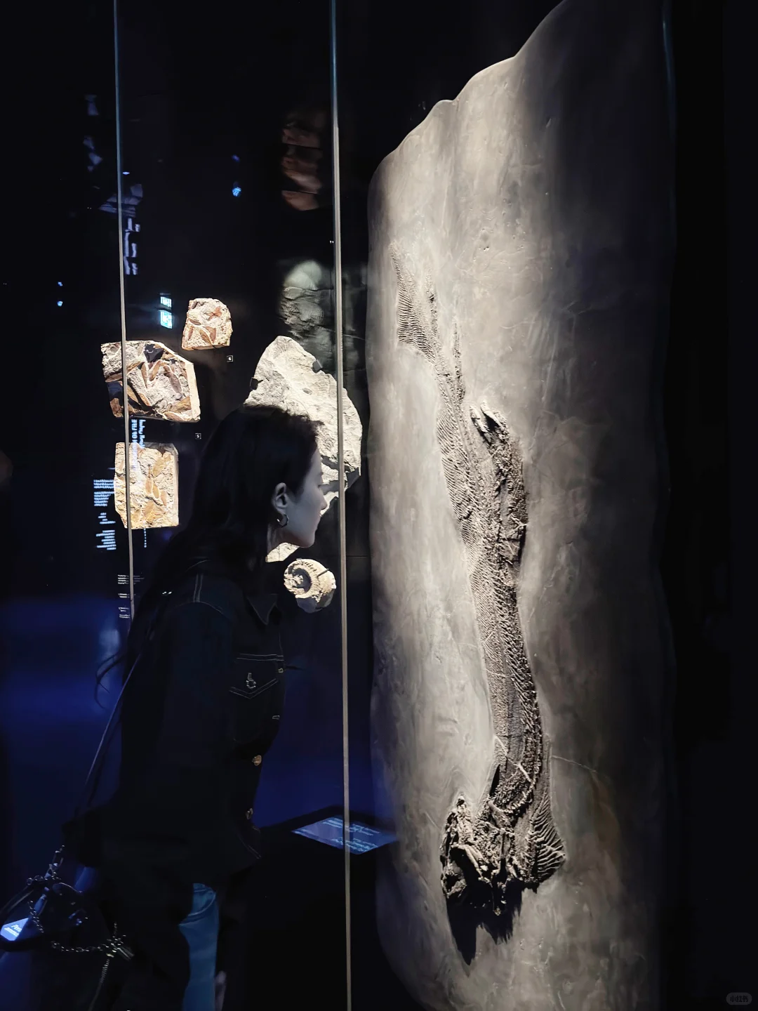 刘亦菲又寄来旅行明信片，身材好匀称！