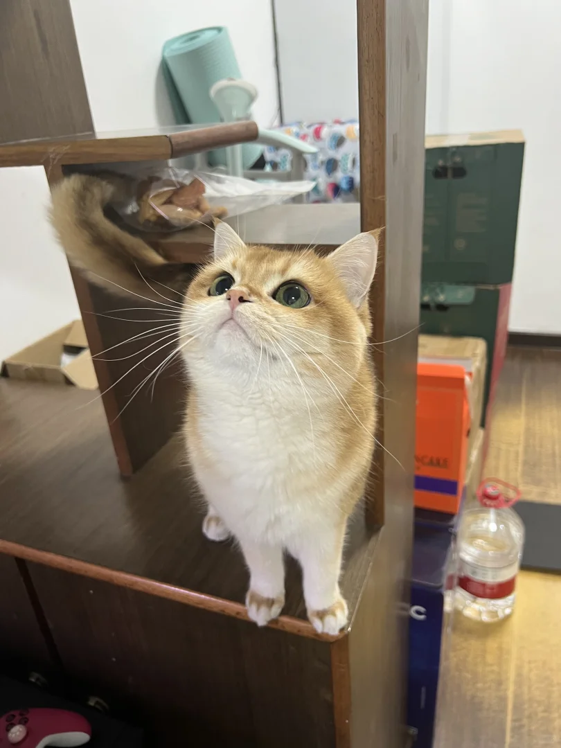 找女朋友找女朋友！