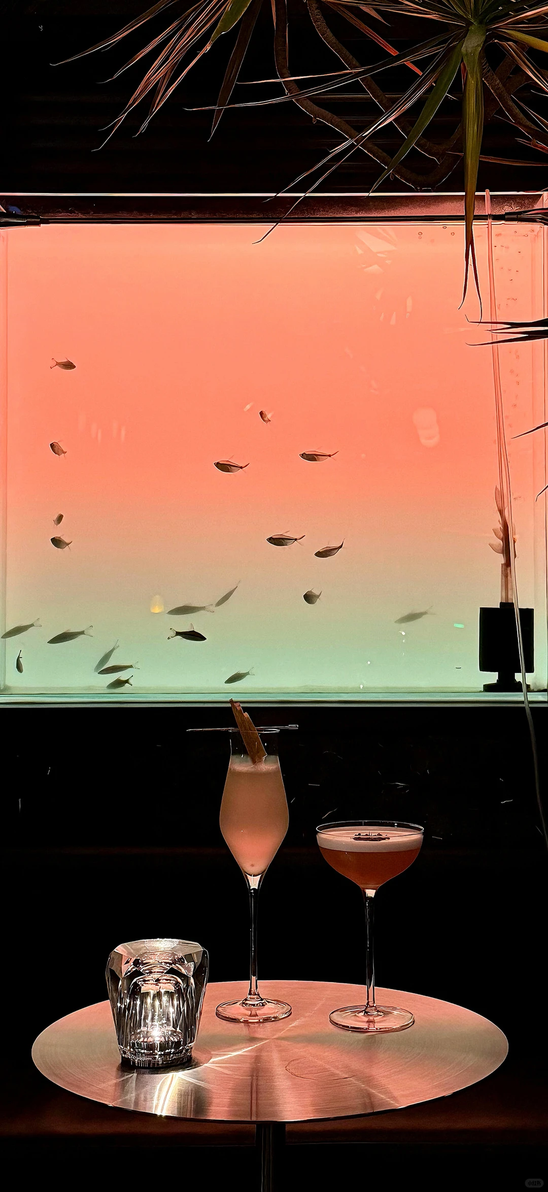 氛围感拉满的壁纸～