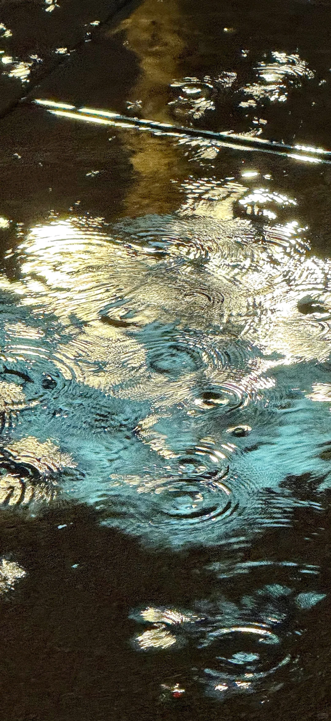 氛围感拉满的壁纸～