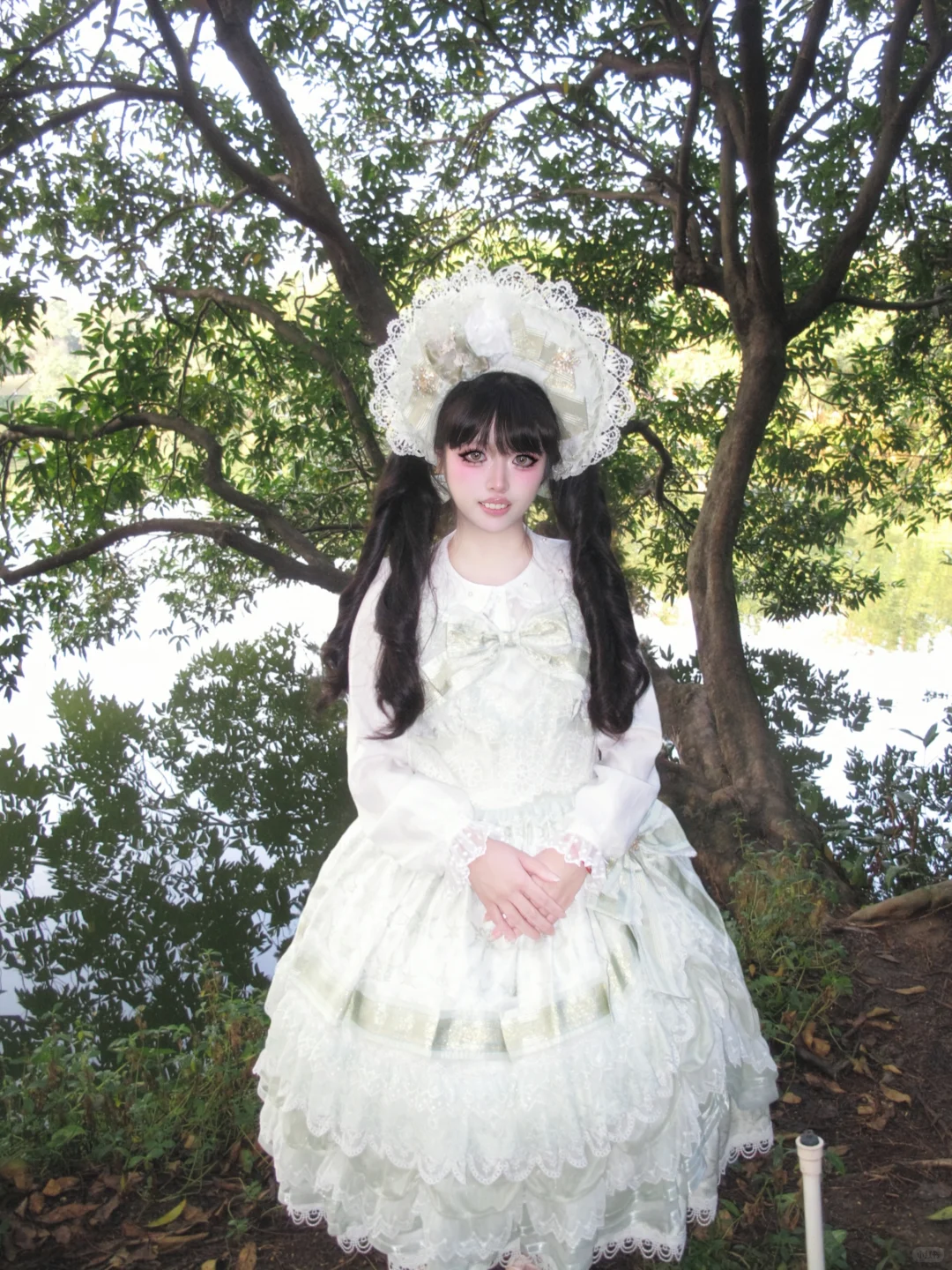 圣诞g若草，在湖边拍的，好美