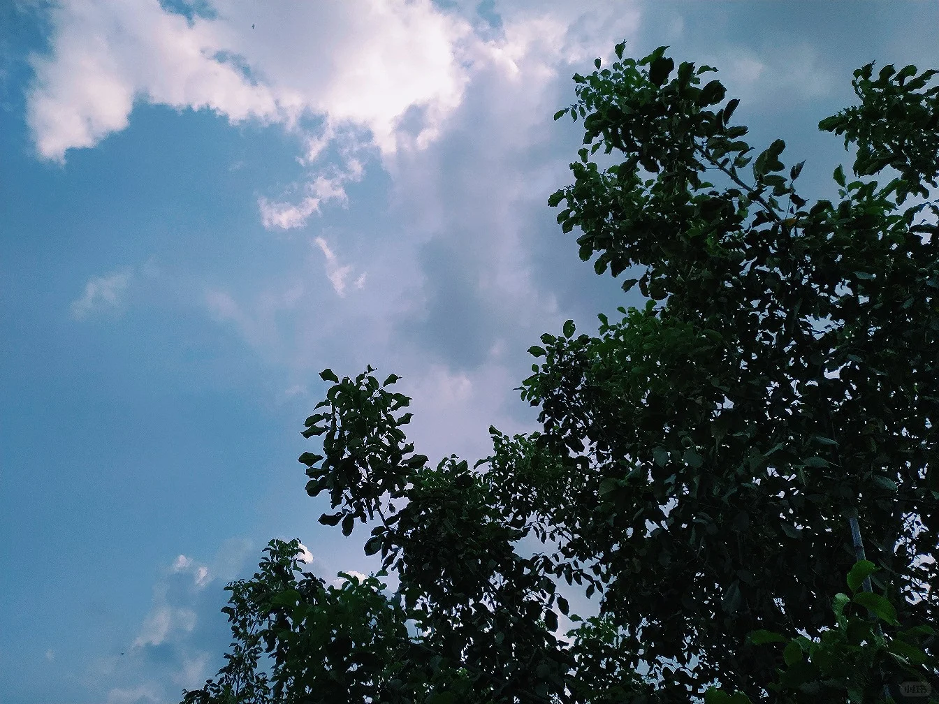 高清壁纸‖happy days