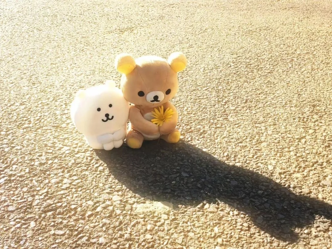 iPad壁纸｜轻松熊