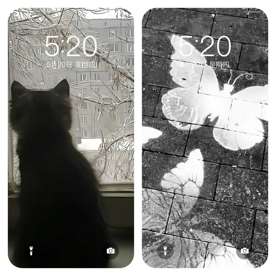 今天也是美好的一天