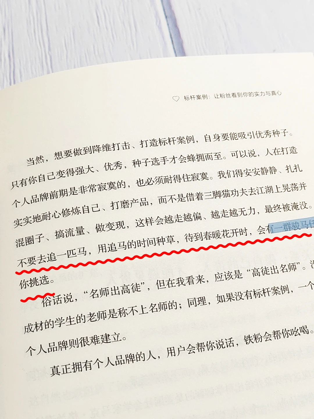 小红薯｜快读伍越歌的《1000个铁粉》