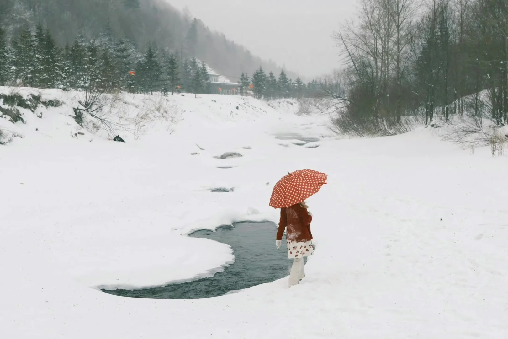 iPad/电脑横屏壁纸❄️