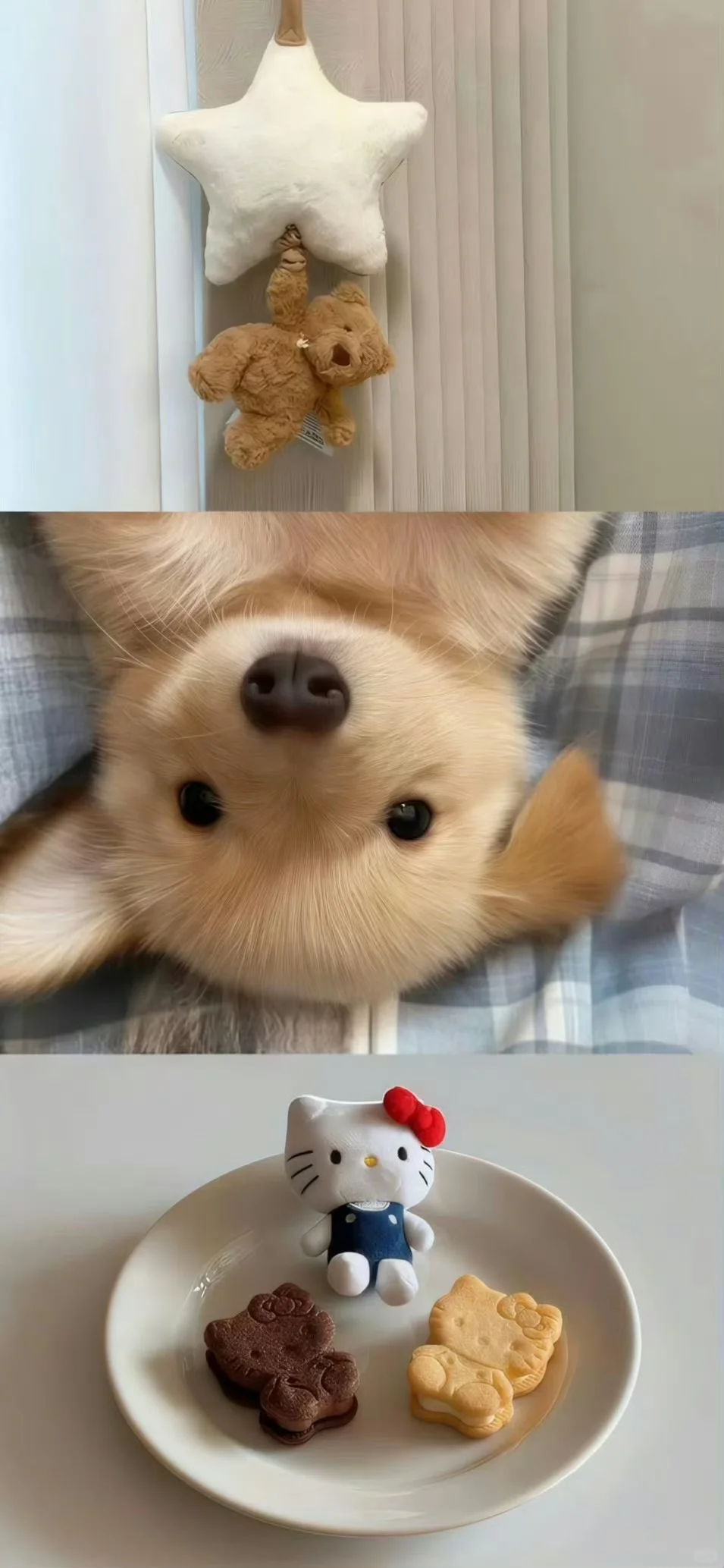 治愈ins风拼接壁纸🐰‧˖⁺🧁⁺˚ 🧈𓈒꙳⋆ 🍧