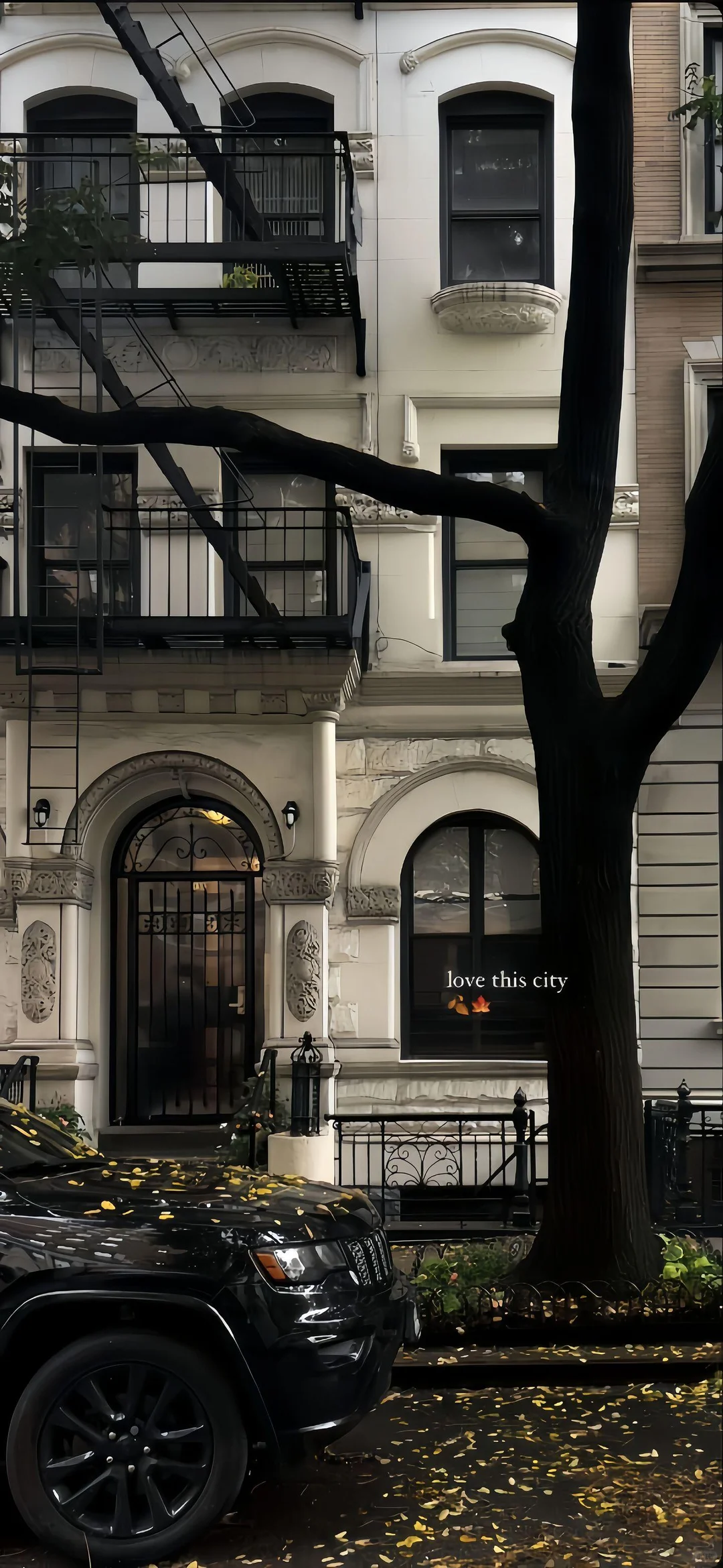 𝐒𝐡𝐚𝐫𝐞丨ins壁纸