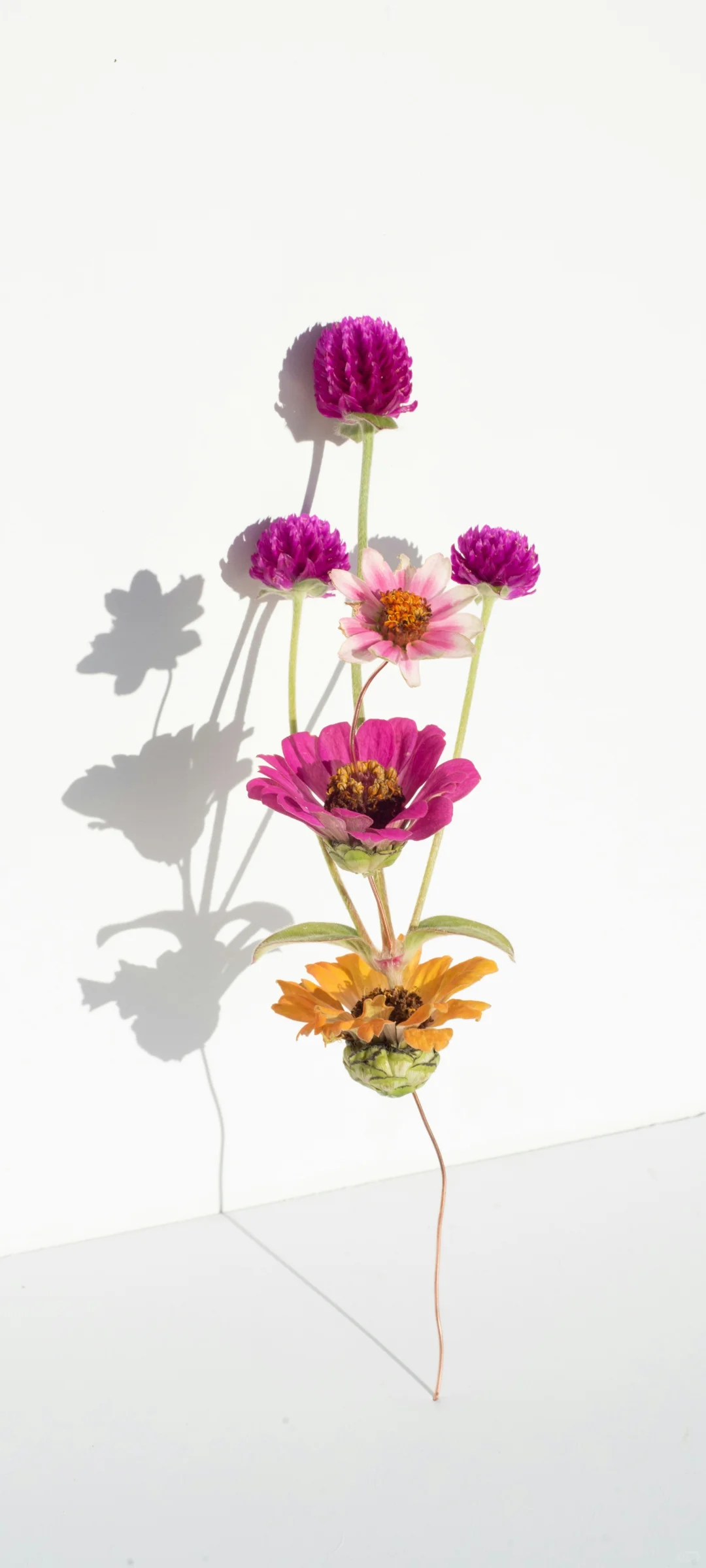 氛围感拉满！解锁手机桌面的高级松弛感！！