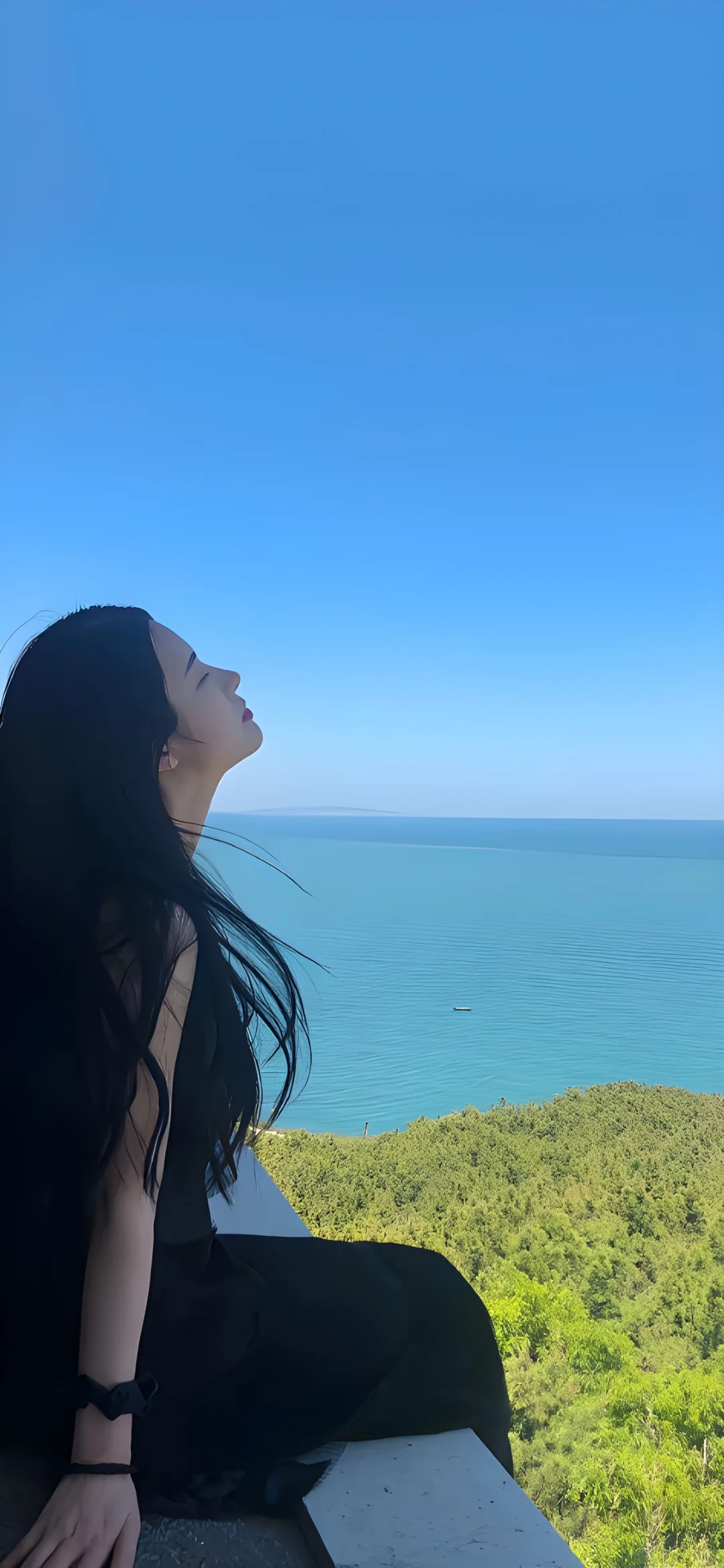 手机壁纸|高清壁纸🌸