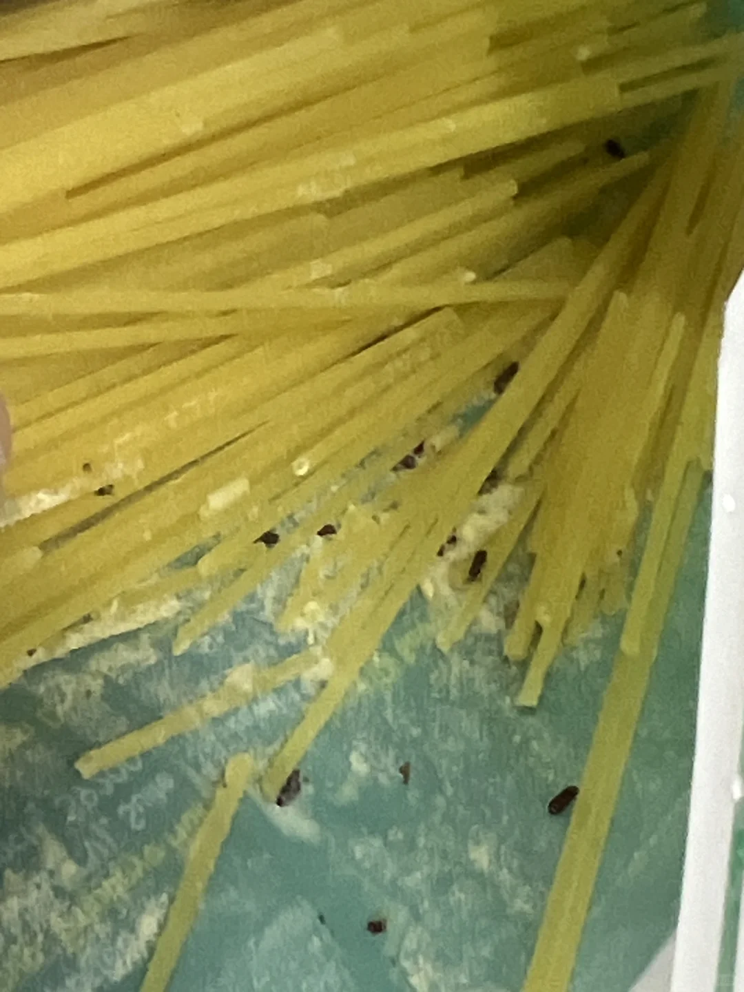 🇲🇾谁买的天使头发也这样