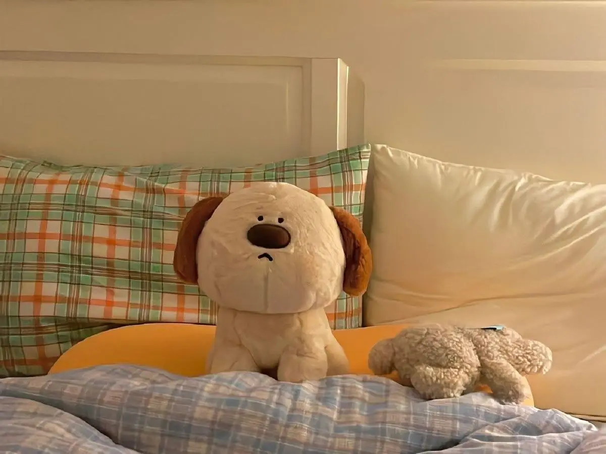 IPAD 壁纸 | 可可爱爱的毛绒玩具