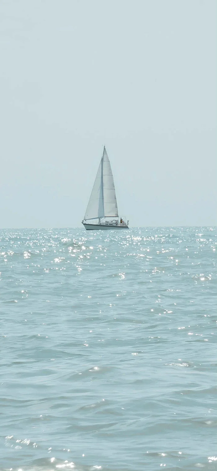 壁纸分享｜ｔｏｄａｙ🤍🩵🩶