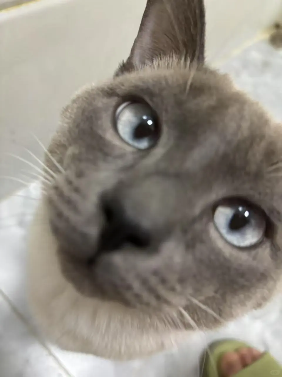 我爸说了，高颜值不怕怼脸拍