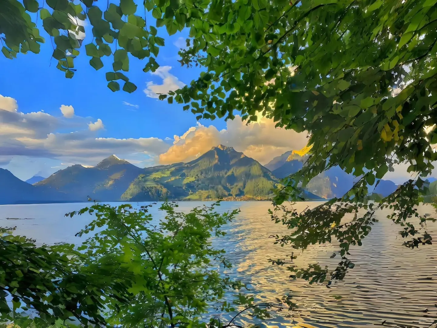 💚𝙎𝙝𝙖𝙧𝙚 ｜iPad壁纸