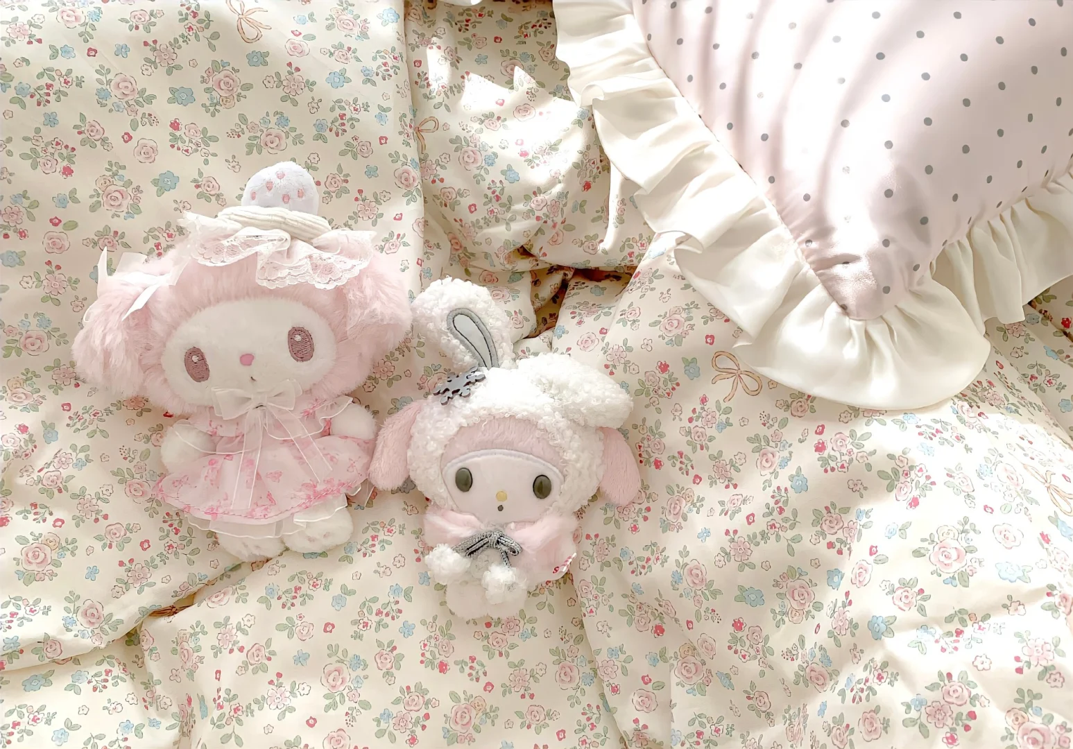 一期iPad壁纸壁纸分享💭´-ωก`