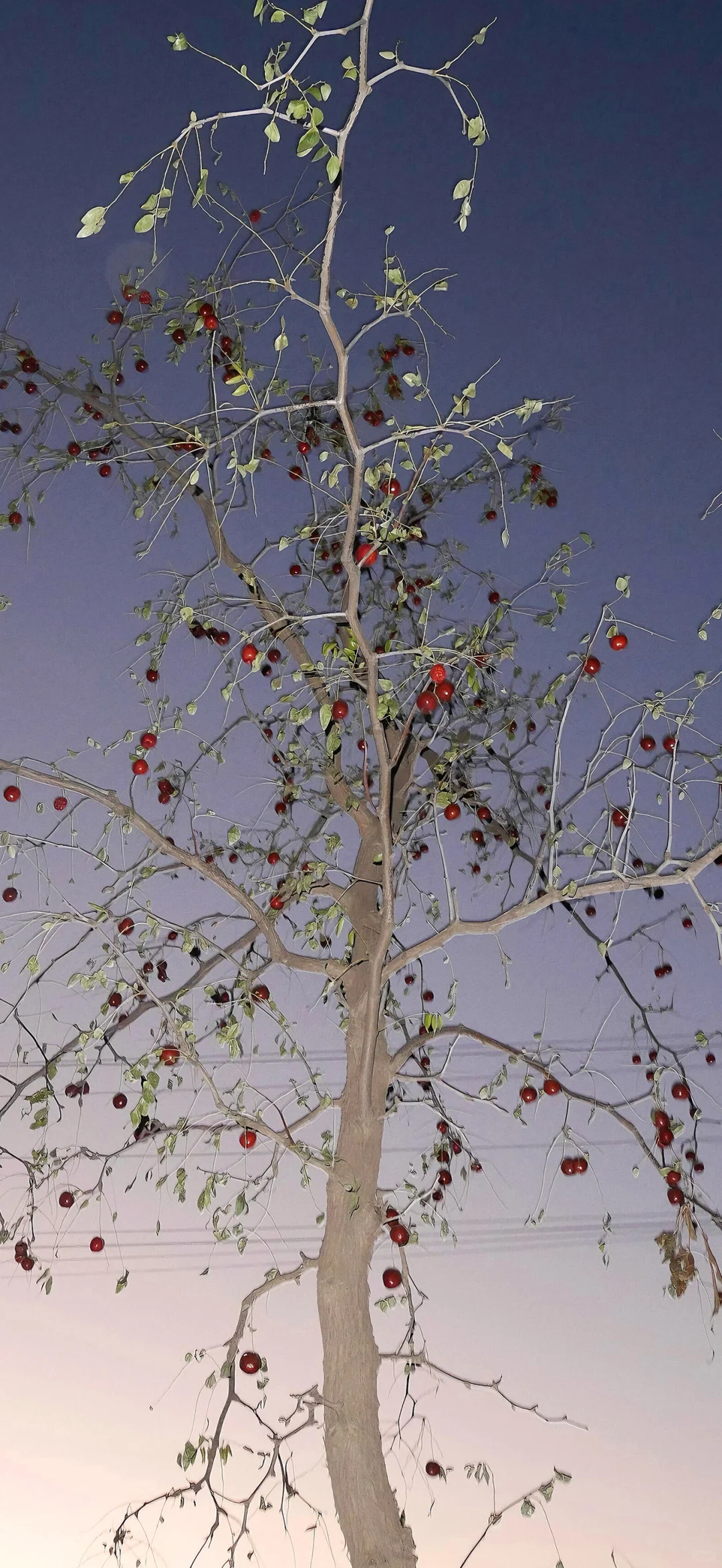 氛围感拉满的壁纸～