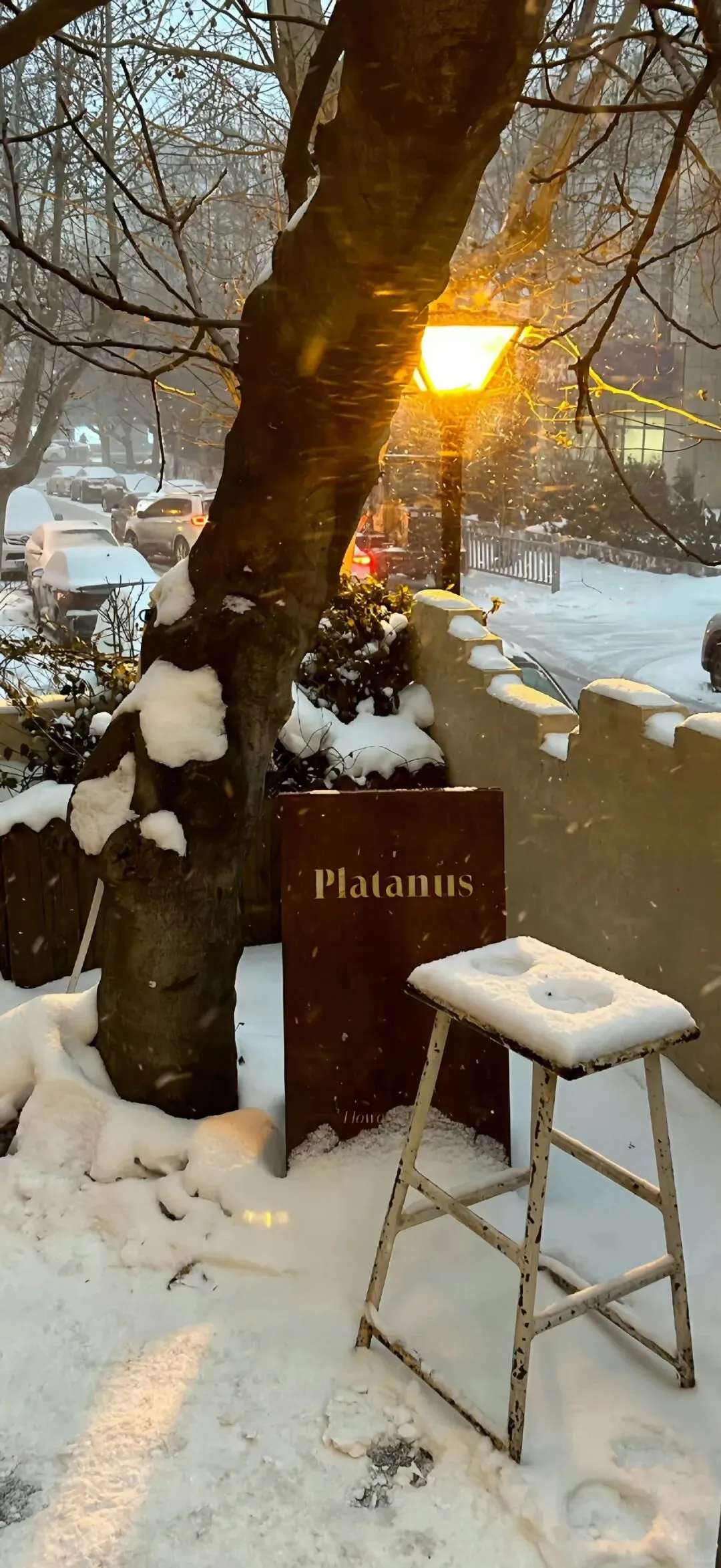 𝐒𝐡𝐚𝐫𝐞 | ins风全屏壁纸