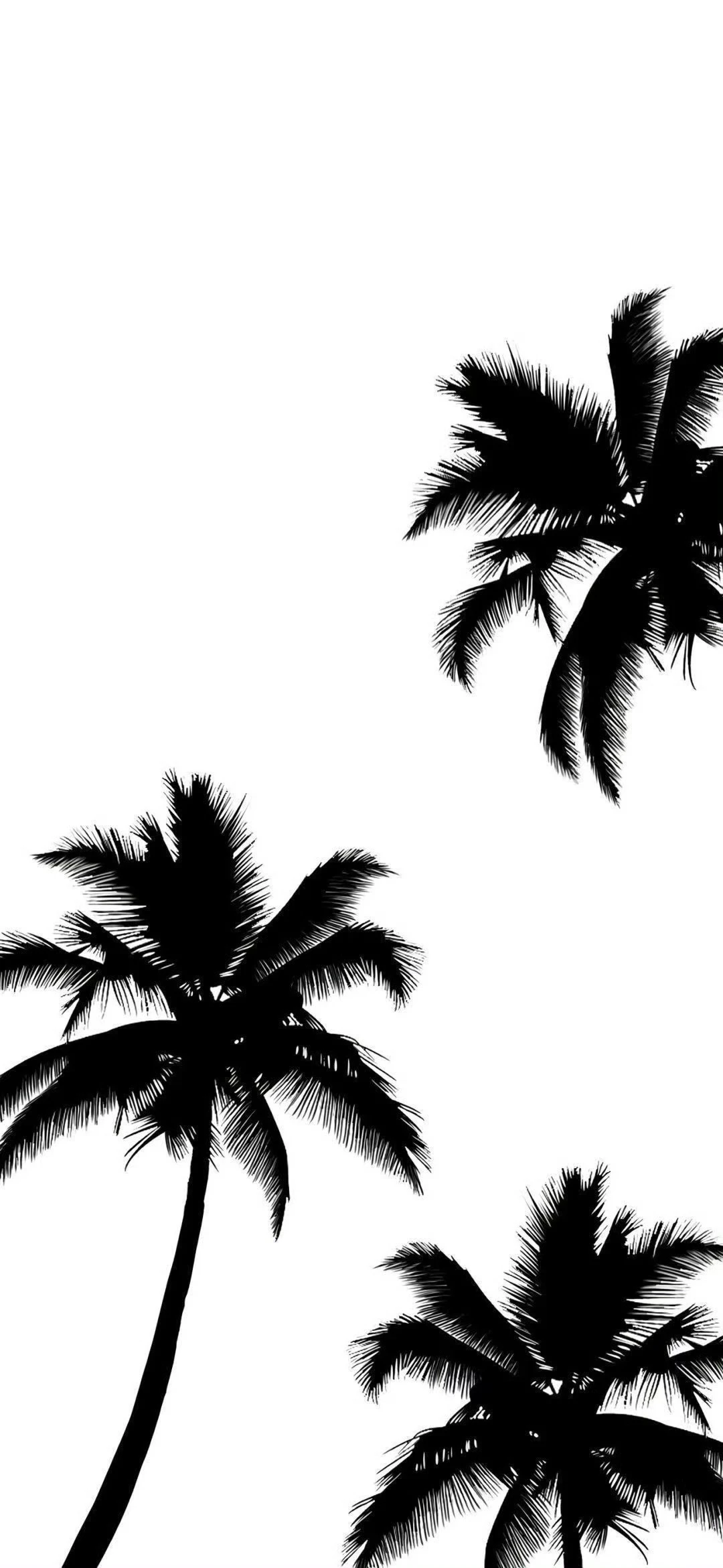 𝑺𝒉𝒂𝒓𝒆｜简约白底锁屏壁纸