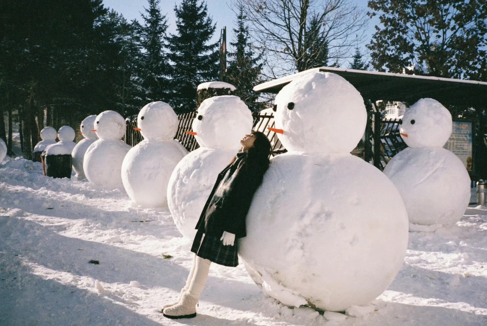 iPad/电脑横屏壁纸❄️