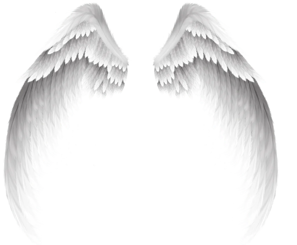 特效素材｜白色翅膀羽毛天使png后期贴图