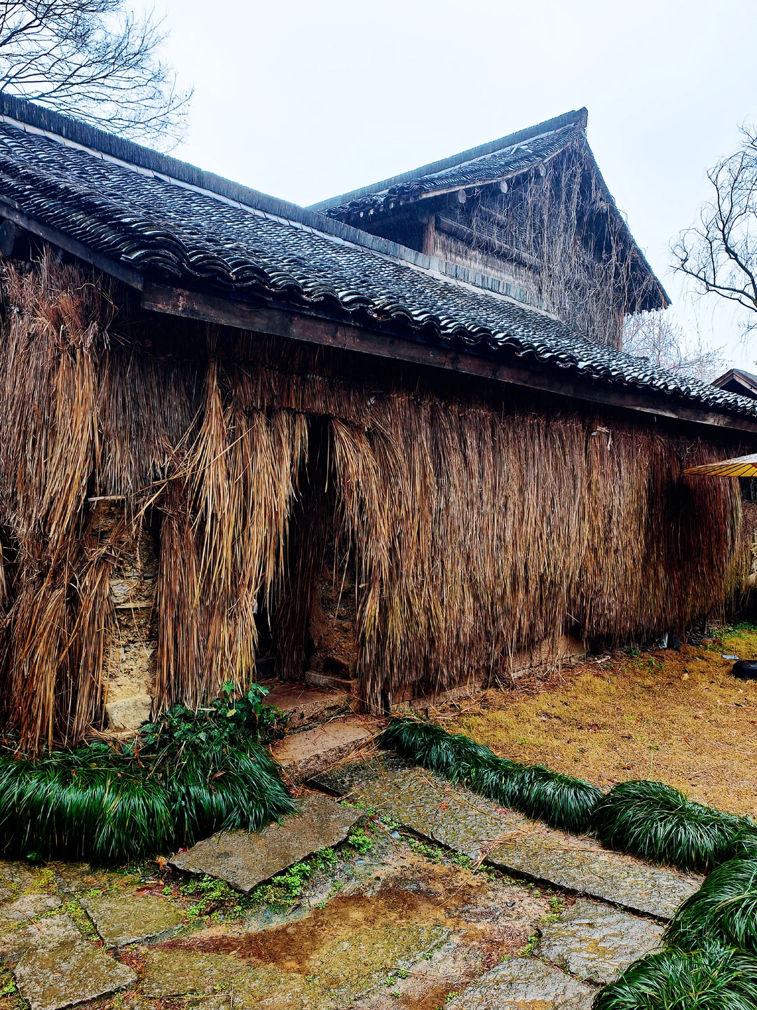 大叔说（有帝王气的女人，自带吸贵人体质）