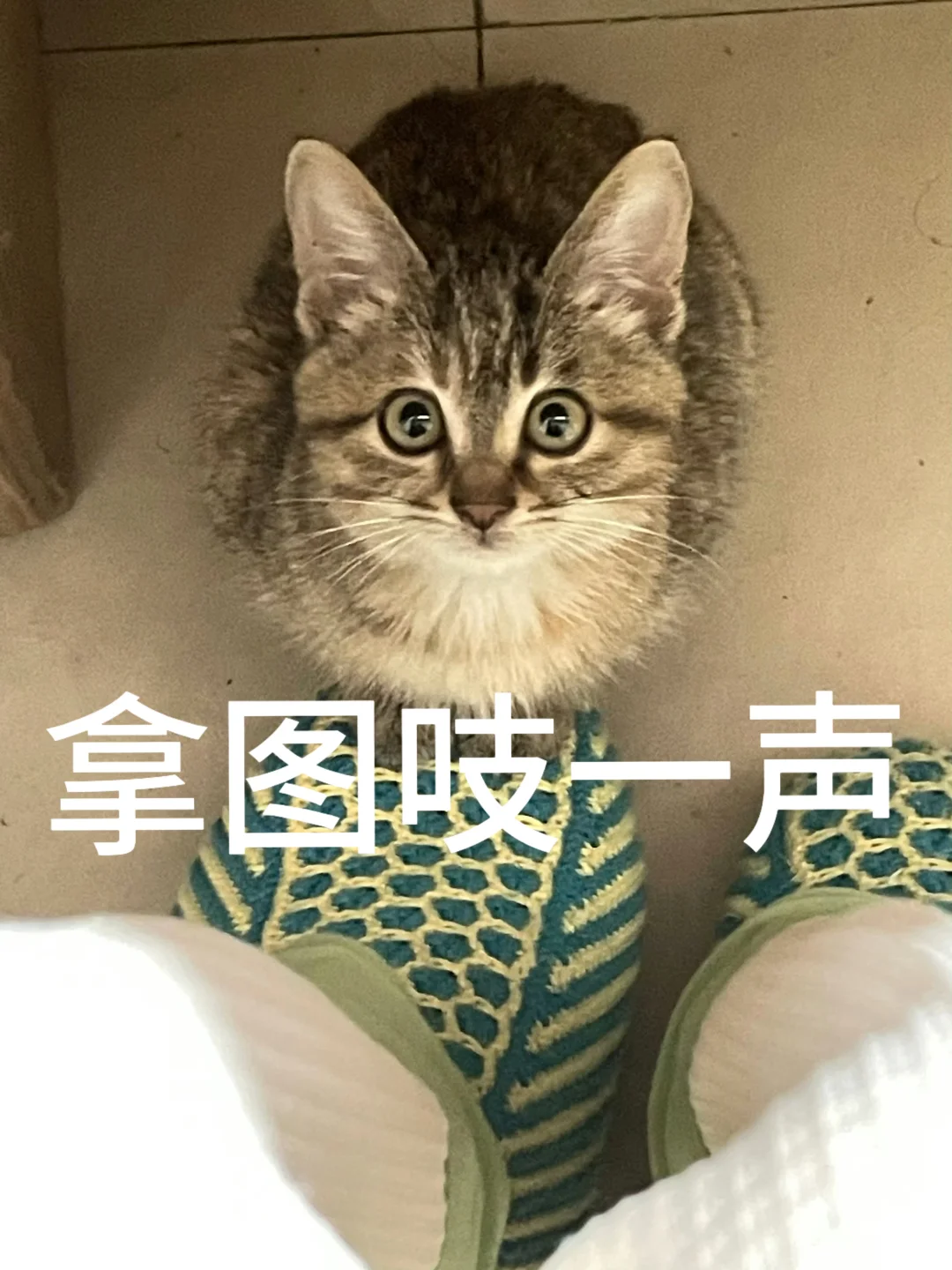 放弃和等待是一样的