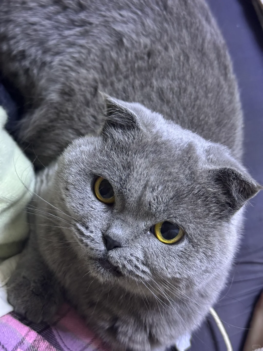 今年的泳就游到这了