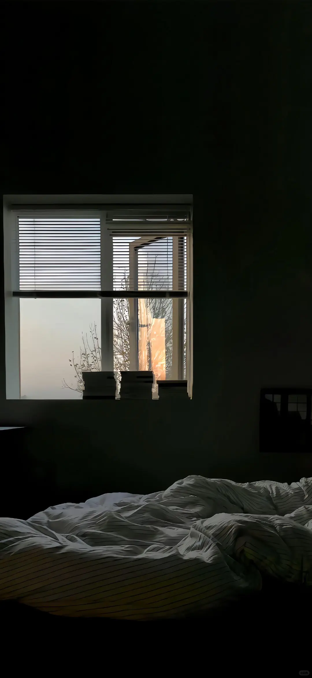 𝐒𝐡𝐚𝐫𝐞丨ins壁纸