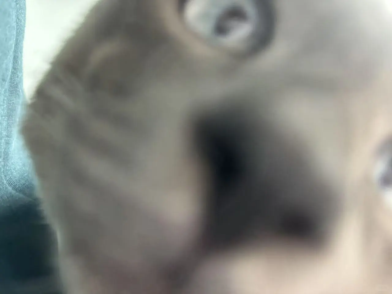 我爸说了，高颜值不怕怼脸拍