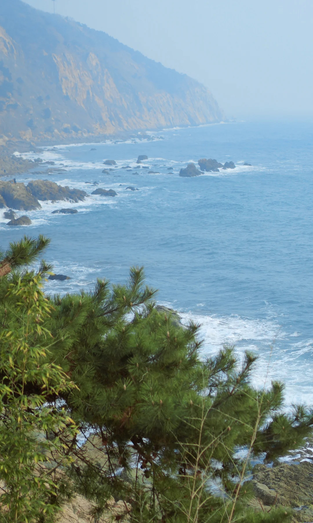 【初冬大连海边徒步穿搭】0°-10°C保暖不臃肿！