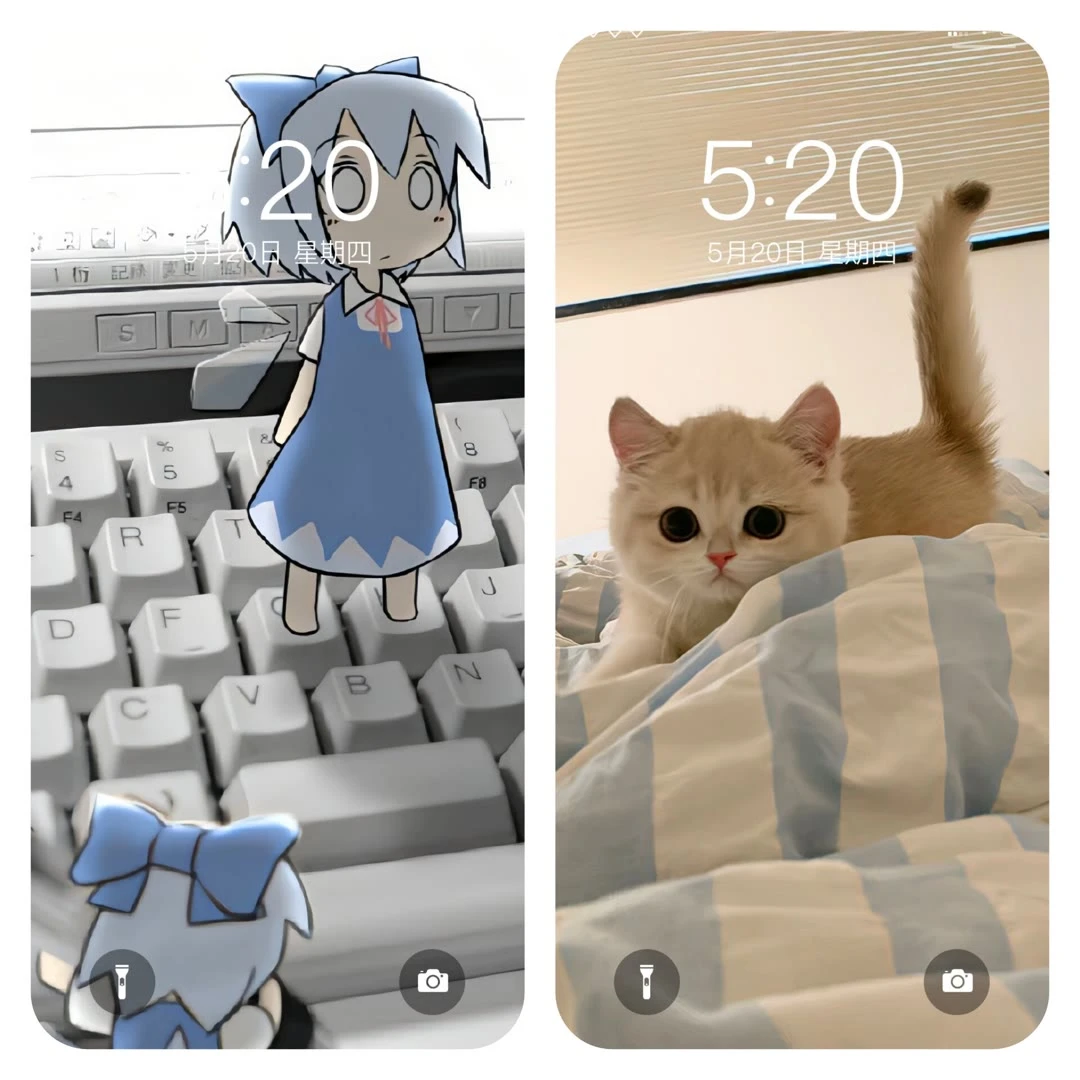 今天也是美好的一天