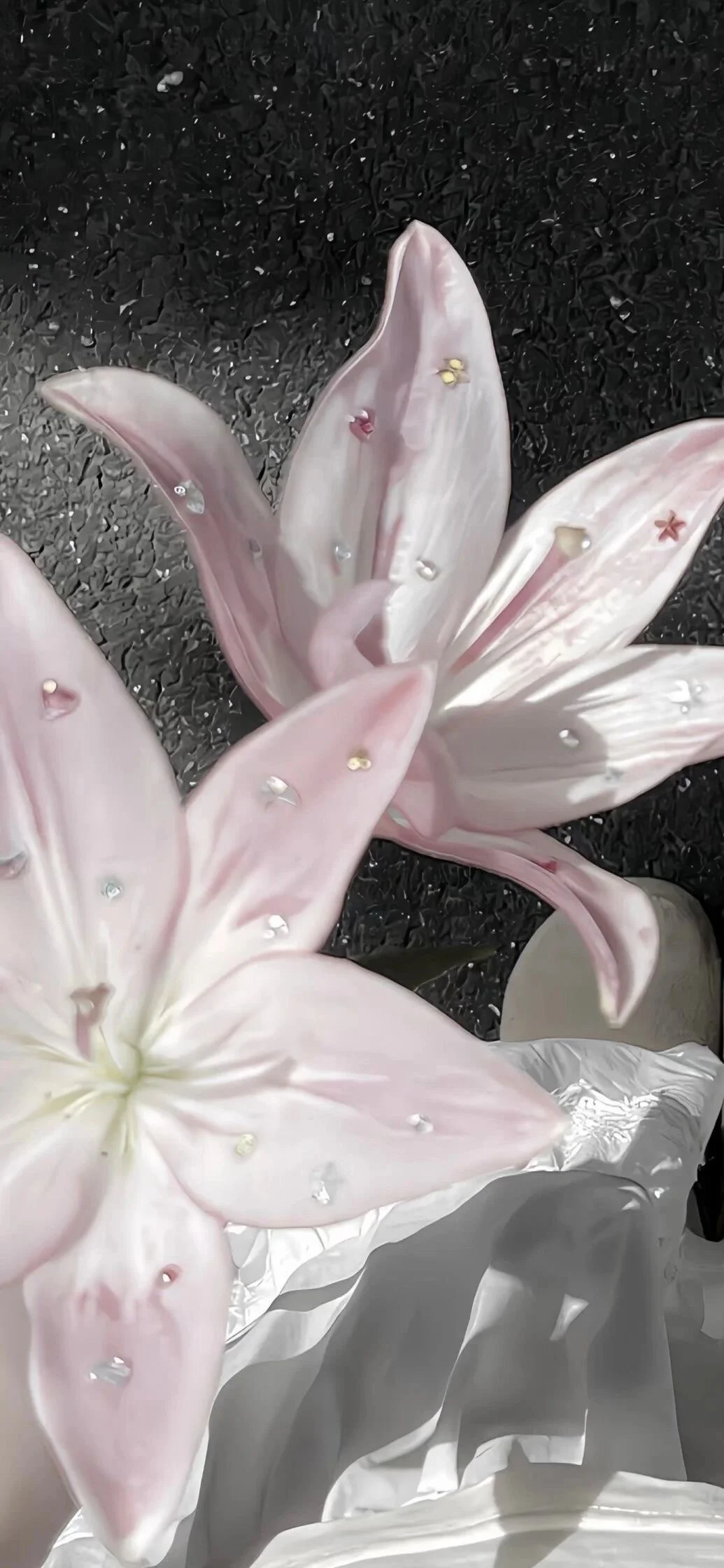 ₊⁺♡̶₊⁺ 𝟏𝟐/𝟏𝟏壁纸分享