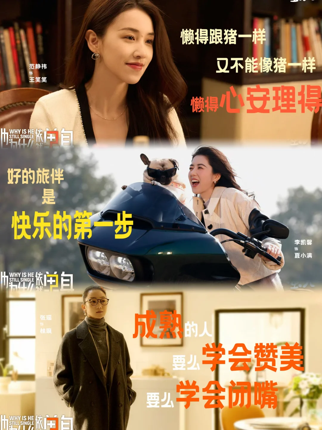 绝对的熟男熟女，头一次看到这种反催婚