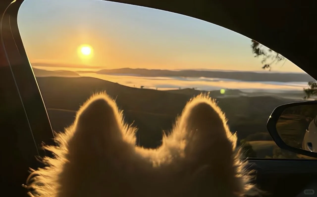 小众背景图💢💤