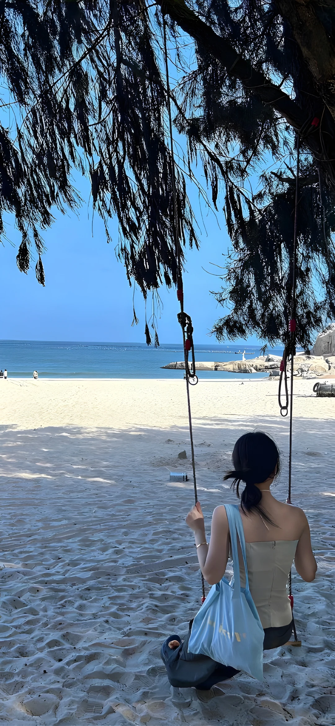 手机壁纸|高清壁纸🌸