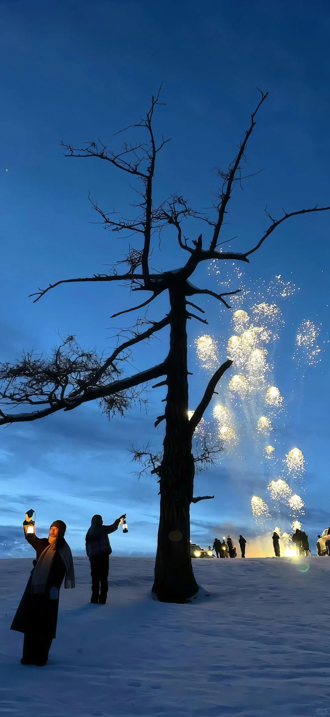 壁纸｜冬天的浪漫❄️