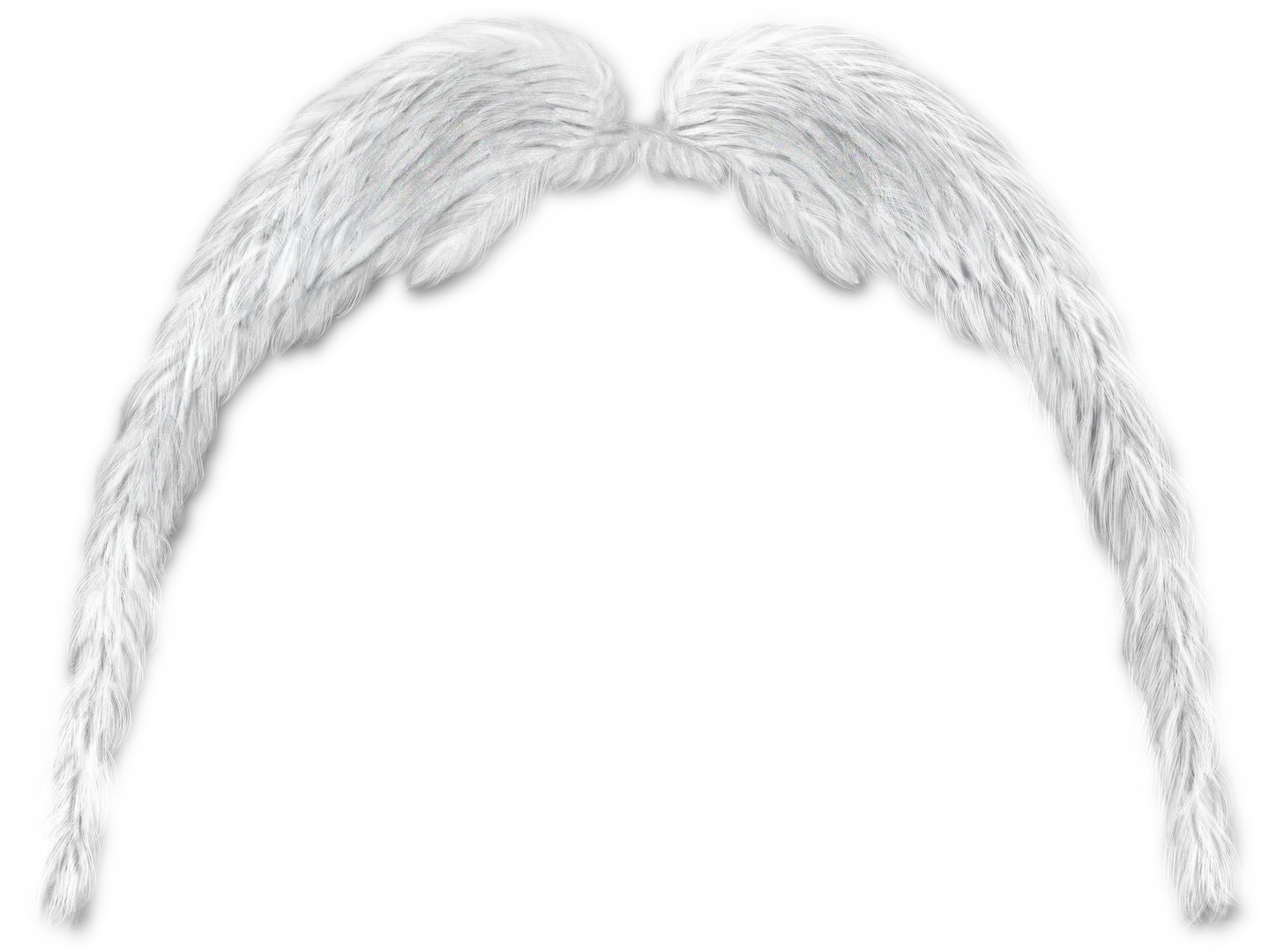 特效素材｜白色翅膀羽毛天使png后期贴图